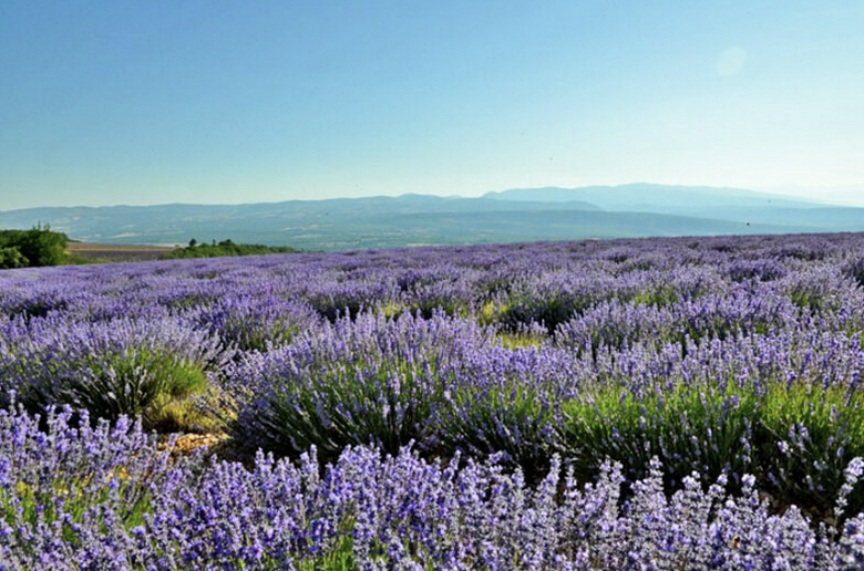 Nachhaltig Reisen in die Provence