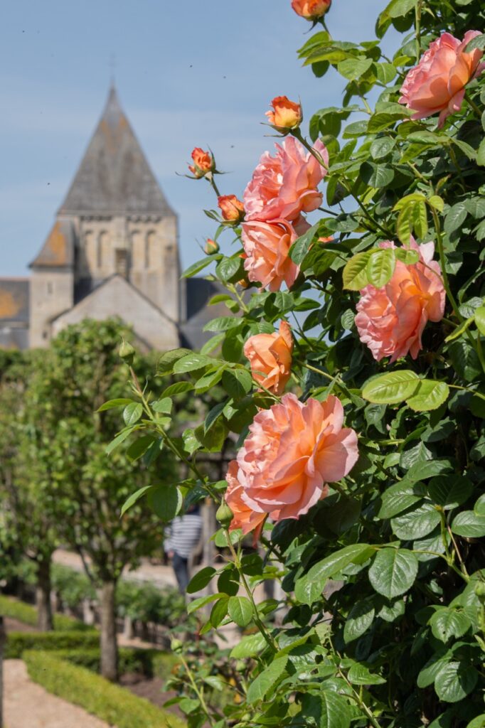 France Naturelle Reise an die Loire Villandry