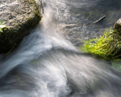 Wolfgang Safer - Paderborn - Der Fluss bin Ich