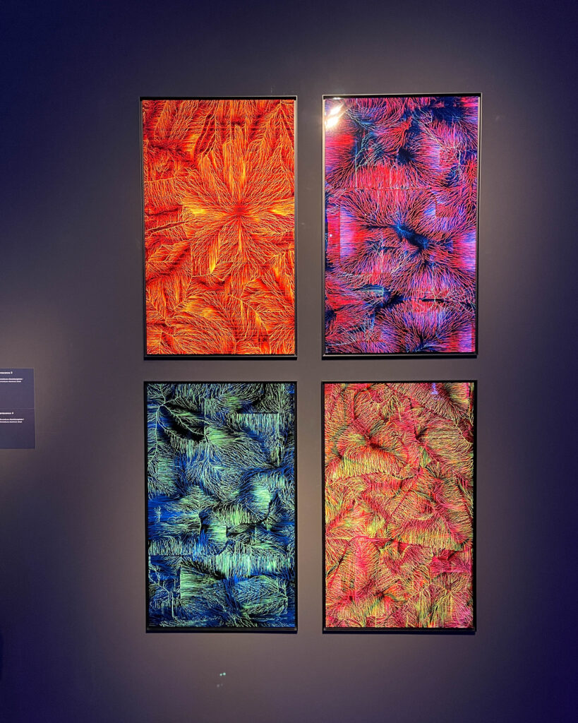 Miguel Chevalier - Digital By Nature Kunsthalle München