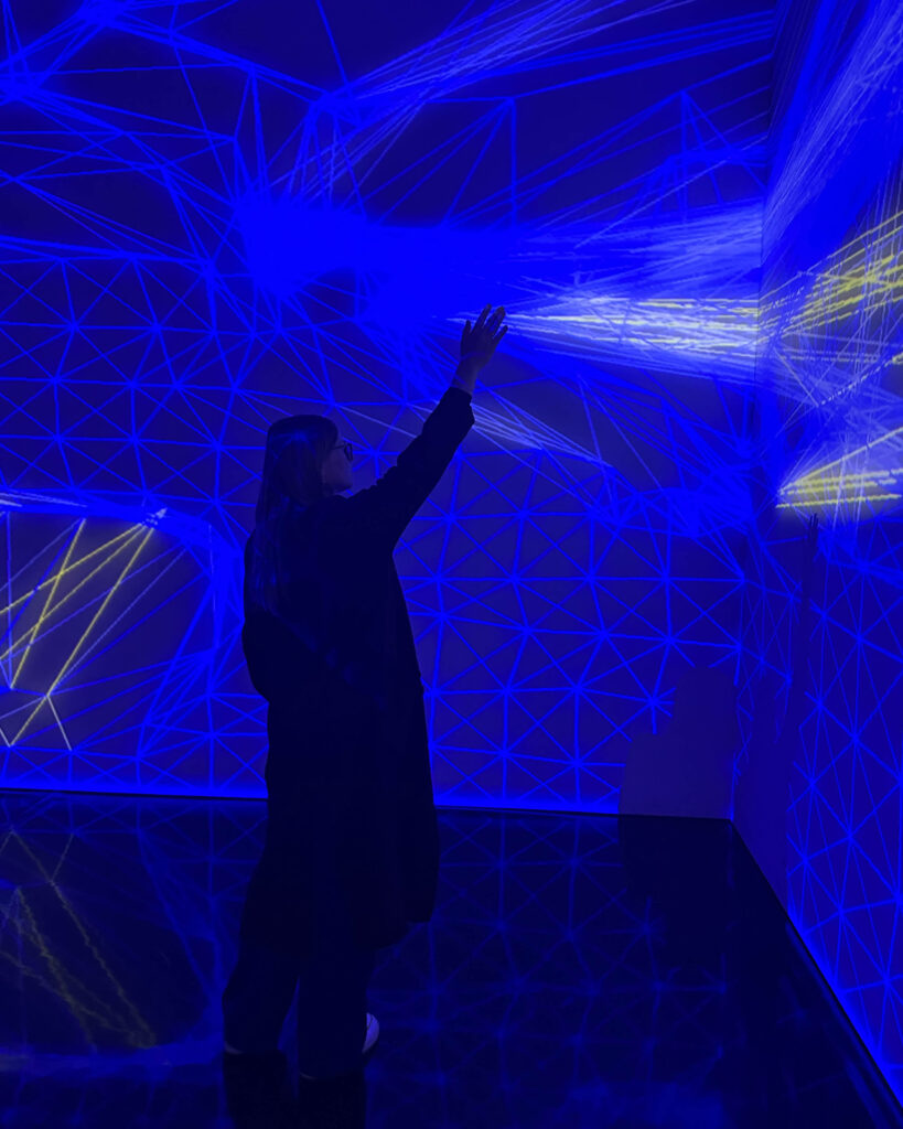 Miguel Chevalier interactive artwork