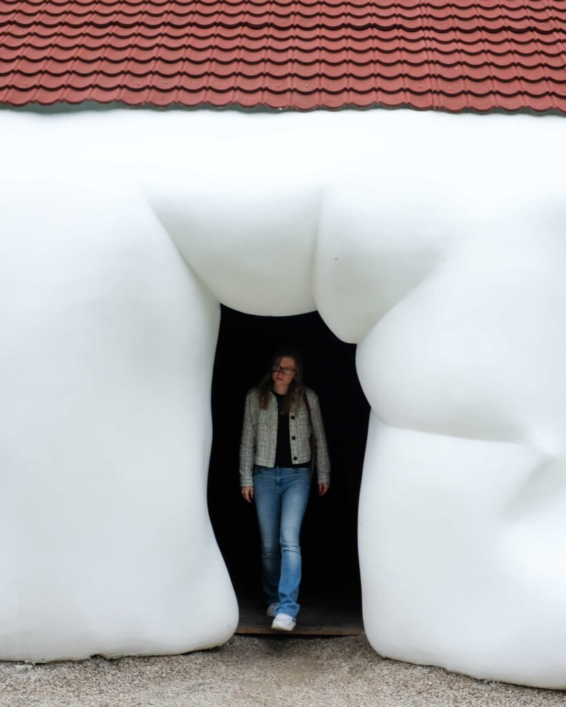 the fat house Erwin Wurm 