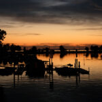 Schirach der stille Freund