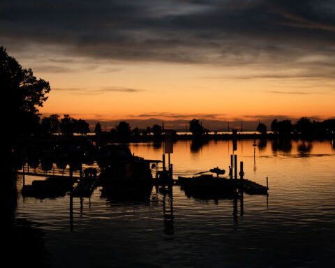 Schirach der stille Freund