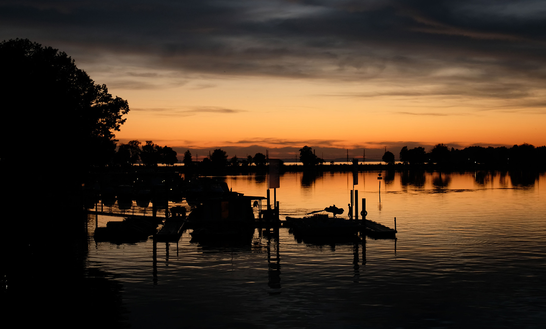 Schirach der stille Freund
